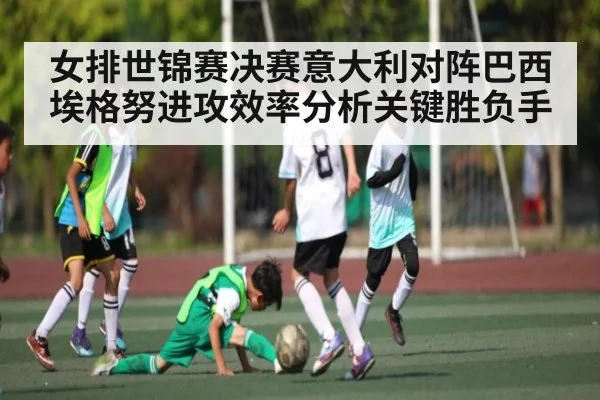 女排世锦赛决赛意大利对阵巴西埃格努进攻效率分析关键胜负手 | NG28